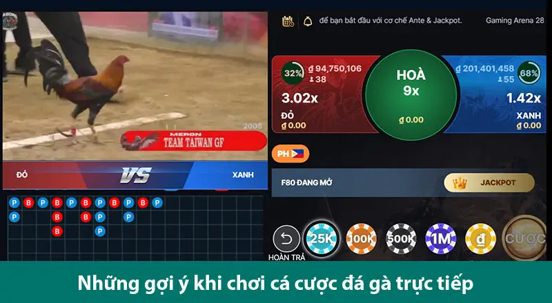 Bí quyết cá độ đá gà trực tuyến thắng chắc từ những cao thủ gà độ 2 Bí quyết cá độ đá gà trực tuyến thắng chắc từ những cao thủ gà độ