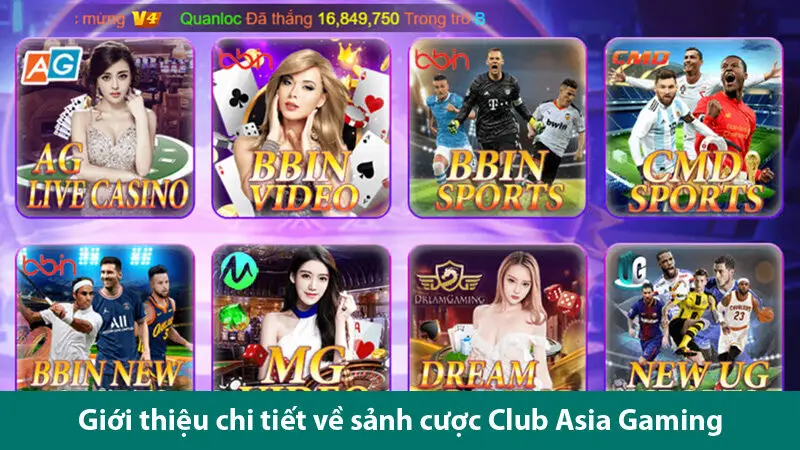 Club Asia Gaming: Địa chỉ cá cược trực tuyến đẳng cấp và uy tín 2025 1 Club Asia Gaming: Địa chỉ cá cược trực tuyến đẳng cấp và uy tín